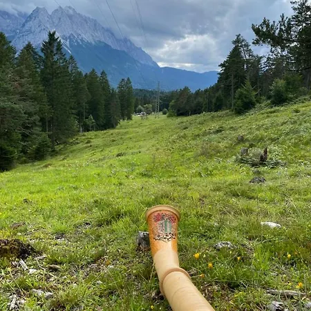 Im- Oberland - Berg - Koenigscard * Bad Kohlgrub