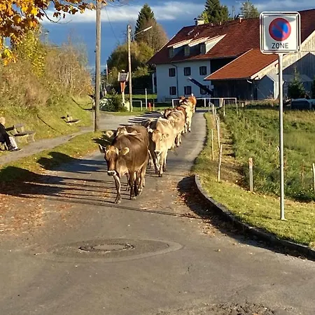 Im- Oberland - Berg - Koenigscard